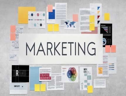 Picture of blog: Navigating the Digital Marketing Landscape: Trends You Can't Ignore 